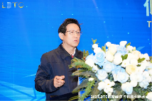 2025LDTC 低空经济与科技创新大会拉开帷幕 长三角共推低空产业一体化布局(图2)